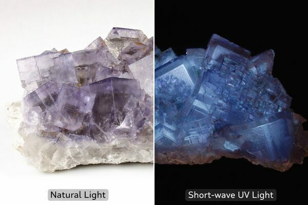 The same fluorite specimen, one side pictured under natural light and the other under short-wave UV light showing its fluorescence.